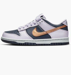 Кросівки Nike Dunk Low Se (Gs) DX1663-400