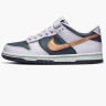 Кросівки Nike Dunk Low Se (Gs) DX1663-400