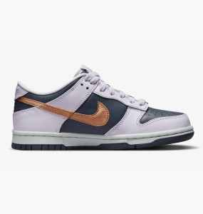 Кросівки Nike Dunk Low Se (Gs) DX1663-400