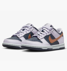 Кросівки Nike Dunk Low Se (Gs) DX1663-400