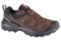 Кросівки для трекінгу SALOMON X ULTRA 360 LTR GTX Gore-Tex 475712