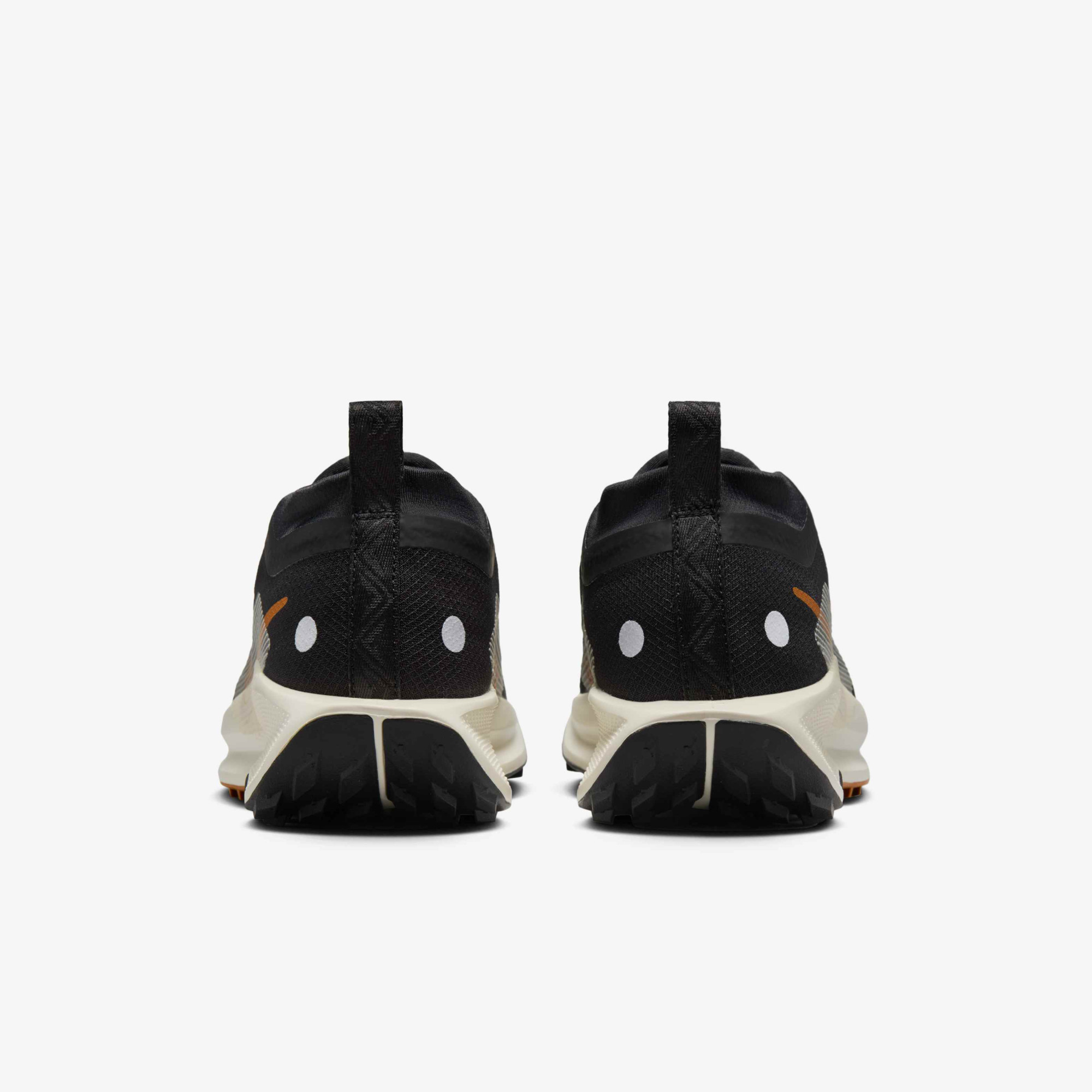 Кросівки Nike Pegasus Trail 5 GORE-TEX FQ0912-005