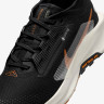 Кросівки Nike Pegasus Trail 5 GORE-TEX FQ0912-005