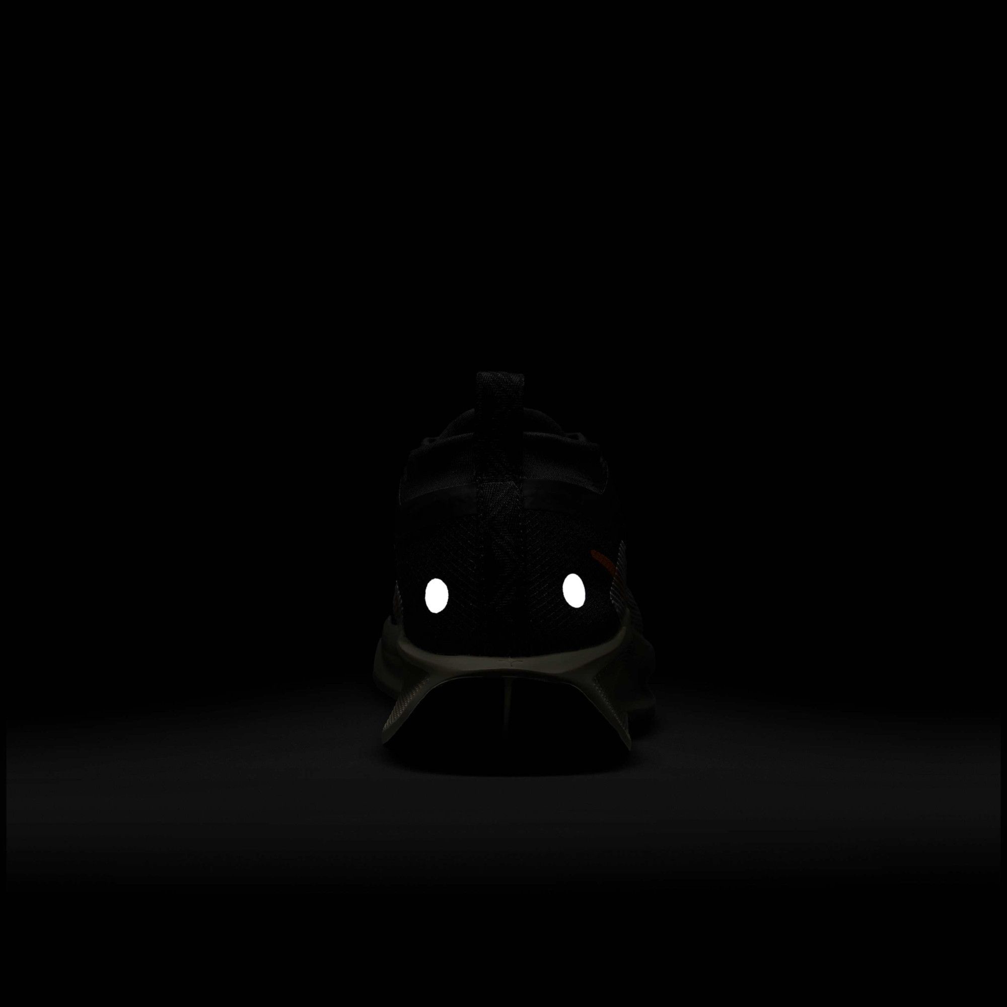 Кросівки Nike Pegasus Trail 5 GORE-TEX FQ0912-005