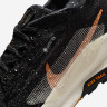 Кросівки Nike Pegasus Trail 5 GORE-TEX FQ0912-005