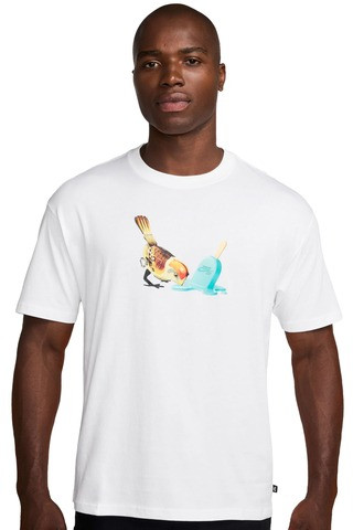 Футболка Nike SB Ice Cream Tee HJ0818-100 L HJ0818-100