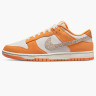 Кросівки Nike Dunk Low DR0156-800