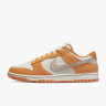 Кросівки Nike Dunk Low DR0156-800
