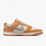 Кросівки Nike Dunk Low DR0156-800