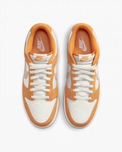 Кросівки Nike Dunk Low DR0156-800