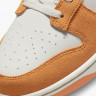 Кросівки Nike Dunk Low DR0156-800