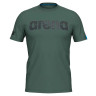 Футболка Arena T-SHIRT LOGO COTTON 005336-101