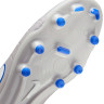 Бутси Nike LEGEND 10 ACADEMY FG/MG NU2 IM7518-001