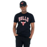 Футболка New Era NOS NBA REGULAR TEE BULLS 60416749