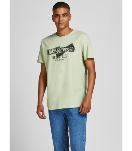 Футболка JORCOMFORTBRANDING TEE SS CREW NECK BLK 12205944-Swamp-Fit:STANDARD Jack&Jones L Фісташкови 12205944-SWAMP-FIT:STANDA
