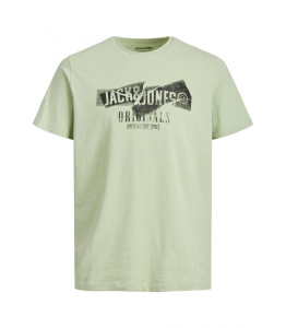 Футболка JORCOMFORTBRANDING TEE SS CREW NECK BLK 12205944-Swamp-Fit:STANDARD Jack&Jones L Фісташкови 12205944-SWAMP-FIT:STANDA