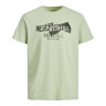 Футболка JORCOMFORTBRANDING TEE SS CREW NECK BLK 12205944-Swamp-Fit:STANDARD Jack&Jones L Фісташкови 12205944-SWAMP-FIT:STANDA