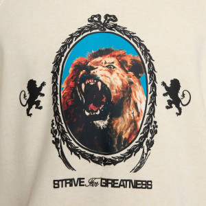 Толстовка Nike LJ M NK BRSH PO HOODIE FB7123-027