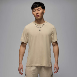 Футболка чоловіча Air Jordan Sport Dri-Fit Beige FN5829-206