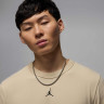 Футболка чоловіча Air Jordan Sport Dri-Fit Beige FN5829-206