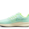 Кросівки Nke Pegasus 38 (салатові) DH4071-301