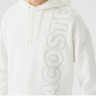 Худі чоловіче Lacoste Hoodie White SH031616B L SH031616B