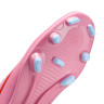 Бутси Nike VAPOR 16 CLUB FG/MG FQ8441-600