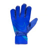 Рукавиці воротарські Nike NK GK MATCH - FA20 CQ7799-445