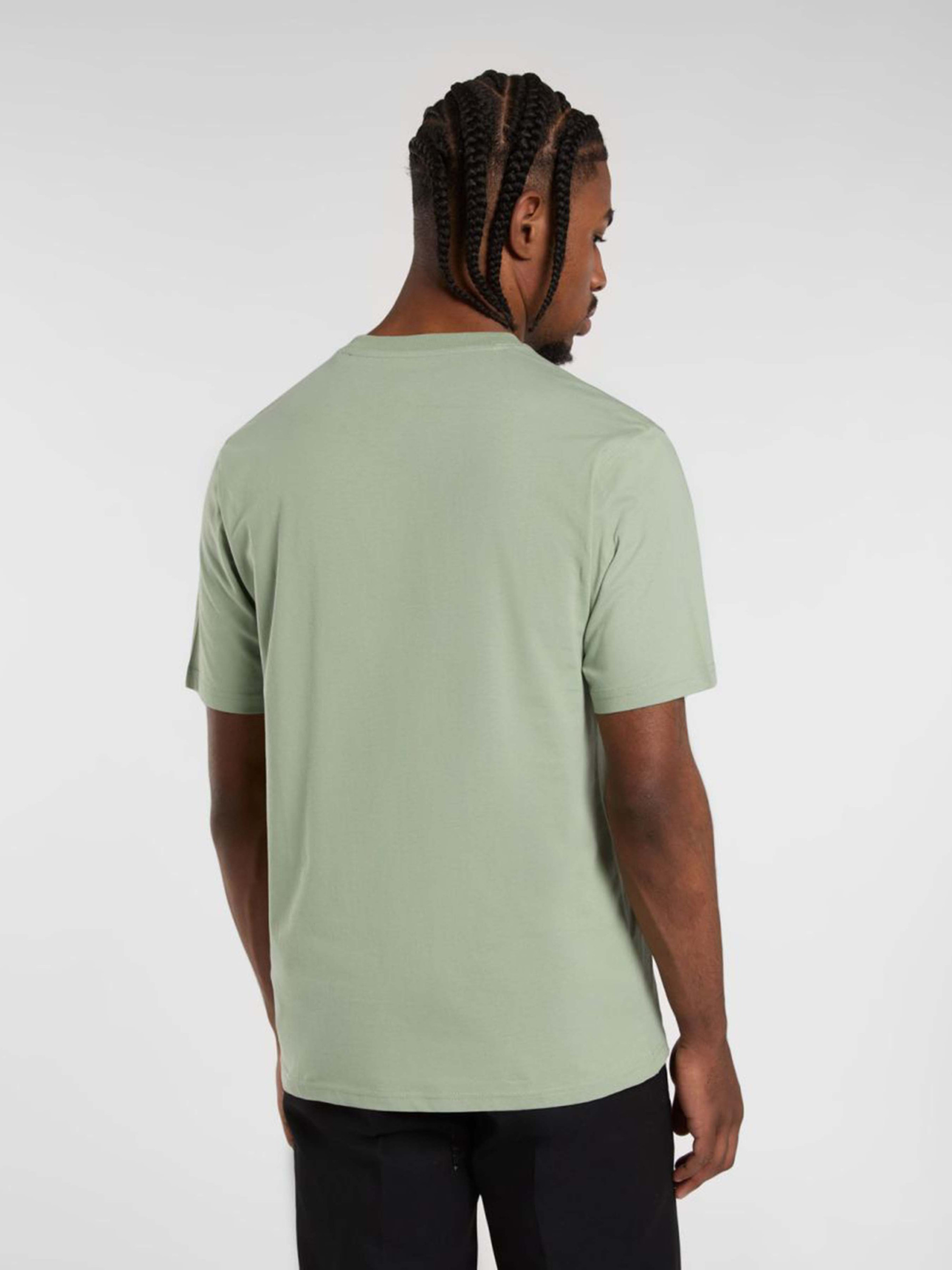 Футболка Dickies SS MAPLETON TEE DK0A4XDBK361