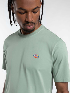 Футболка Dickies SS MAPLETON TEE DK0A4XDBK361