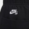 Штани Nike SB TWILL DOUBLE KNEE PANT FV7349-010