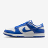 Кросівки Nike DU LOW RETRO HF5441-112