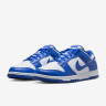 Кросівки Nike DU LOW RETRO HF5441-112
