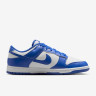 Кросівки Nike DU LOW RETRO HF5441-112