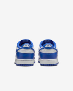 Кросівки Nike DU LOW RETRO HF5441-112