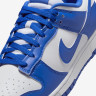 Кросівки Nike DU LOW RETRO HF5441-112