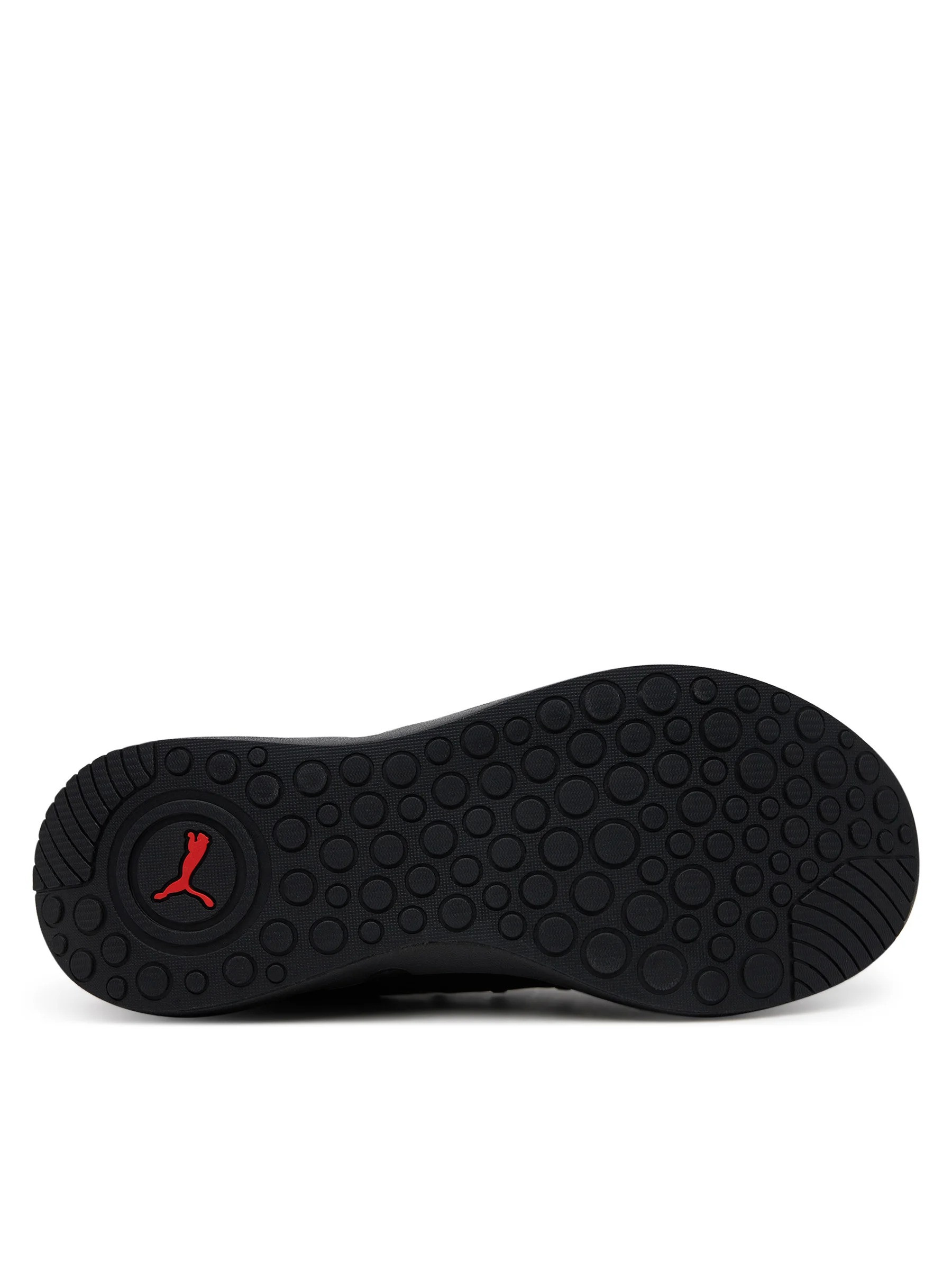 Кросівки PUMA Softride Carson Fresh 310155-04 310155-04