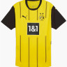 Футболка BVB Home Jersey AUTENTIC 774945-01