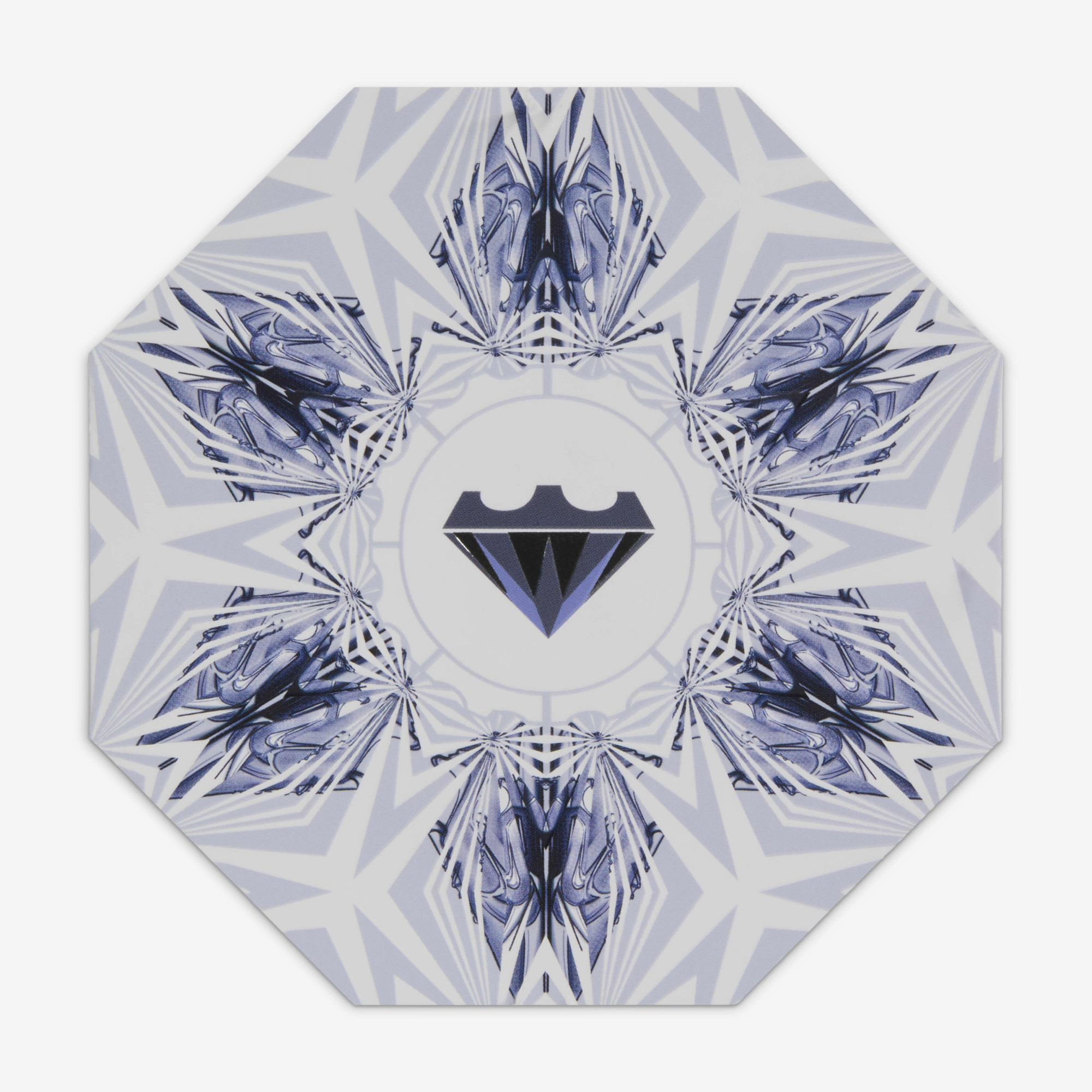 Кросівки Nike LEBRON XXII FZ1094-101