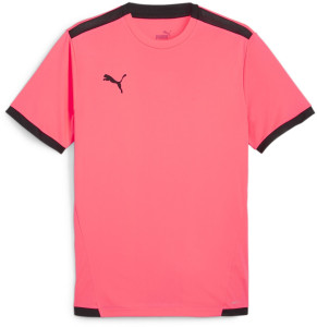 Футболка Puma Teamliga Jersey 704917-57 704917-57