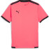 Футболка Puma Teamliga Jersey 704917-57 704917-57