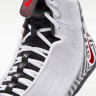 Борцівки Nike Inflict 4 SE HV4207-100