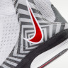 Борцівки Nike Inflict 4 SE HV4207-100