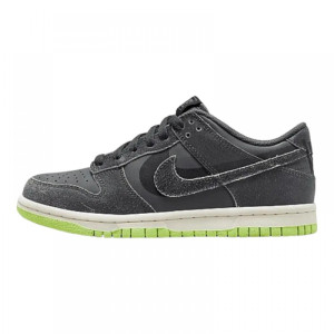Кросівки Nike Dunk Low Halloween (2022) (GS) Iron Grey DQ6215-001