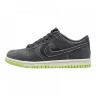Кросівки Nike Dunk Low Halloween (2022) (GS) Iron Grey DQ6215-001