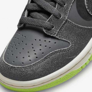 Кросівки Nike Dunk Low Halloween (2022) (GS) Iron Grey DQ6215-001