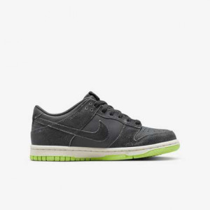 Кросівки Nike Dunk Low Halloween (2022) (GS) Iron Grey DQ6215-001