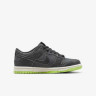 Кросівки Nike Dunk Low Halloween (2022) (GS) Iron Grey DQ6215-001