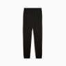 Штани спортивні PUMATECH Pants 68460101 Puma L Чорний 68460101