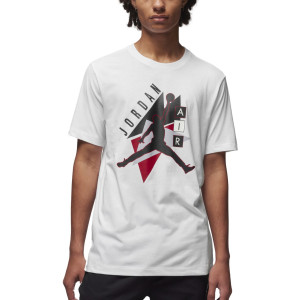 Футболка Air Jordan Graphic Tee FD7031-100